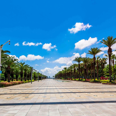 厦门市海湾公园全景VR