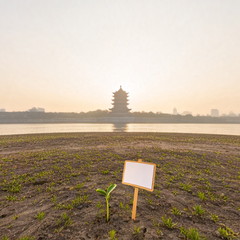 美容教室