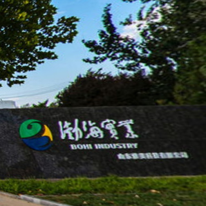 山东渤海实业集团有限公司VR云上展厅