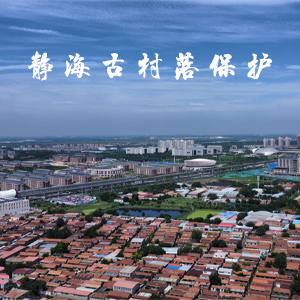 静海董庄窠村