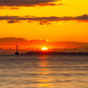 巴金 海上日出