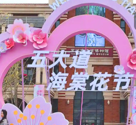 拾光海棠2026五大道海棠花节vr全景导览