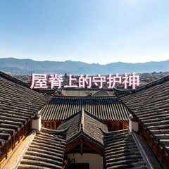 瓦猫